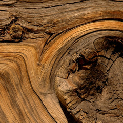 Guaiac Wood