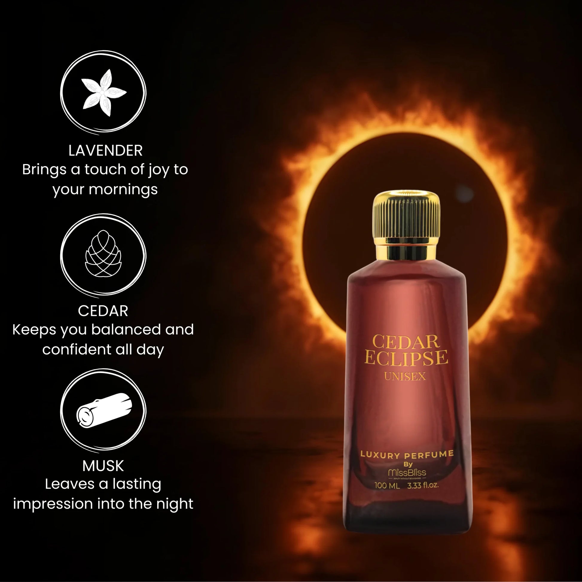 CEDAR ECLIPSE – Eau de Parfum Unisex Perfume- 100ml image 2