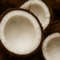 Coconut
