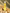 Lemon Room Freshener | Home Fragrance Spray