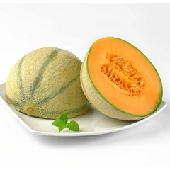 Melon