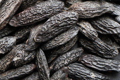 Tonka Bean